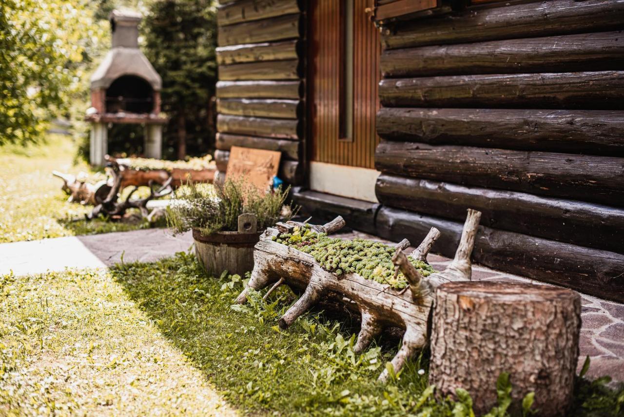 Cottage Hidden Pearl Zgornje Jezersko Exterior foto